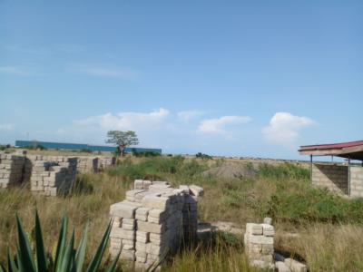 Mixed Use Discounted Half Plot, Lakpleku, Dawhenya, Tema, Accra, Mixed-use Land for Sale