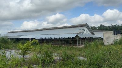 Poultry Farm & Pig, Goat, Cattle Farm, Atia,near Ejisu, Boankra., Ejisu-juaben Municipal, Ashanti, Commercial Property for Sale