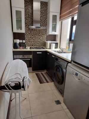 Furnished 1 Bedroom N Hall at Cantonments, Us Embassy, Cantonments, Accra, Mini Flat for Rent