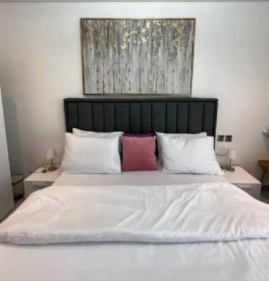 1 Bedroom  Apartment Signature, Accra New Town, Accra, Apartment for Rent