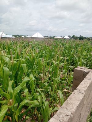 Two Plots of Land Fenced at Wa Sombo, Wa Sombo, Wa Municipal District, Upper West Region, Mixed-use Land for Sale