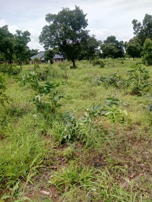 Residential Land, Wa Sombo, Wa Municipal District, Upper West Region, Residential Land for Sale