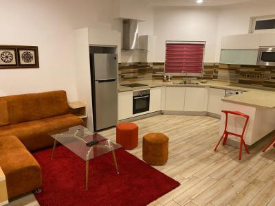 Furnished 1 Bedroom Apartment with Swimming Pool, Cantonments, Accra, Mini Flat for Rent