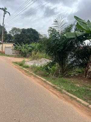 Residential Land, Danyame, Kumasi Metropolitan, Ashanti, Residential Land for Sale