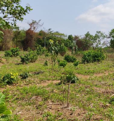 5 Plot of Land, Abesim, Sunyani Municipal, Brong Ahafo, Land for Sale