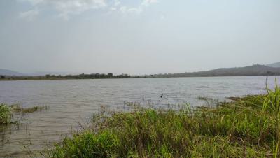 Land in Have - Afadzato South, Afadjato South, Volta Region, Mixed-use Land for Sale