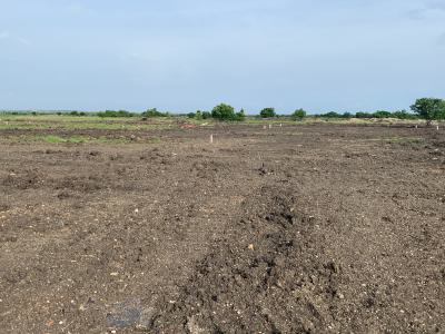 Registered Plots with Free Building Permit Assistance, Central University, Dawhenya, Tema, Accra, Mixed-use Land for Sale