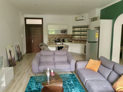 Furnished 1 Bedroom Apartment with Swimming Pool and Gym, Cantonments, Accra, Mini Flat for Rent