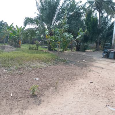 Register 0.51 Acres of Land @ Westland, Westland, Ga East Municipal, Accra, Land for Sale