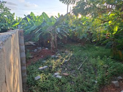 1,500sqft Plot at Adenta Prime Area, Amankwah Street, Adenta Commandos, Adenta Municipal, Accra, Residential Land for Sale