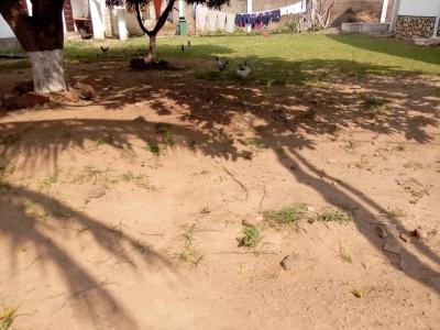 Registered 4 Plots, Kasoa, Awutu-senya East, Central Region, Land for Sale