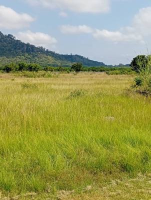 Land, Near Kwaminga Amusement Park, Yilo Krobo, Eastern Region, Land for Sale