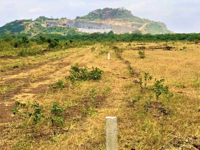 Tastefully Serviced Lands, Dawhenya, Ningo Prampram District, Accra, Land for Sale