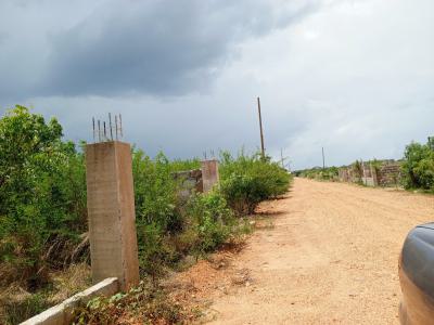 Massive Promotion on Lands, Prampram, Ningo Prampram District, Accra, Residential Land for Sale
