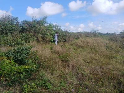 156 Acres Industrial/commercial Land, Takoradi, Sekondi-takoradi, Western Region, Industrial Land for Sale