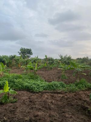 Walled and Gated 4 Plot of Land, Amrahia, Adenta Municipal, Accra, Mixed-use Land for Sale