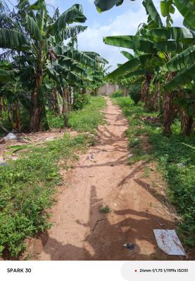 Various Plots  @ Kwabenya to Ashongman, Accra, Ashongman, Kwabenya, Ga East Municipal, Accra, Land for Sale