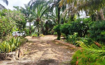 2.7-acre Land, Nhyieso ( Around Georgia Hotel ), Kumasi Metropolitan, Ashanti, Residential Land for Sale