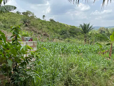 10 Acres Land Development