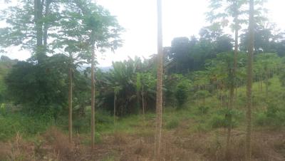 Prime Development Land in -- East Airport, East Airport, East Airport, Airport Residential Area, Accra, Mixed-use Land for Sale