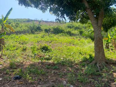 Prime Land for Development, Koleman, Amasaman, Ga West Municipal, Accra, Residential Land for Sale