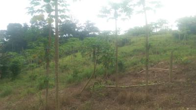 Affordable Development Land -- Kasoa Millennium City, Millennium City, Kasoa, Awutu-senya East, Central Region, Mixed-use Land for Sale