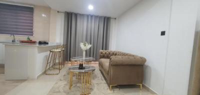 Furnished Studio with Swimming Pool and Gym, Accra Metropolitan, Accra, Single Room Self Contained for Rent