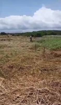 Auction 130 Acres of Land, Gomoa Ojobi, Awutu-senya East, Central Region, Land for Sale