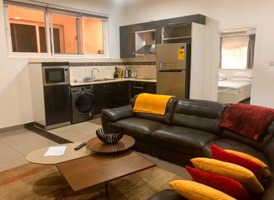 Fully Furnished 1 Bedroom Apartment with Swimming Pool and Gym, Cantonments, Accra, Mini Flat for Rent