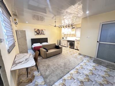 Furnished Studio Apartment, Ars Roundabout, East Legon, Accra, Single Room Self Contained for Rent