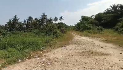 45 Acres Available Near Takoradi Cocobod (kejebril)), Takoradi, Sekondi-takoradi, Western Region, Industrial Land for Sale