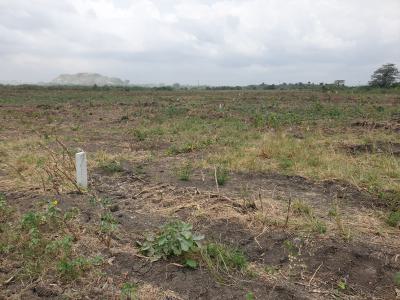 Perfect Location Lands Available, Tsopoli Police Barrier, Tsopoli, Ningo Prampram District, Accra, Residential Land for Sale