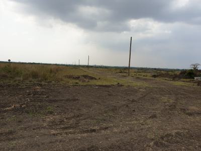 Save Yourself a Registered Plot at a Discount Promo Discount, Tsopoli Police Barrier, Tsopoli, Ningo Prampram District, Accra, Land for Sale