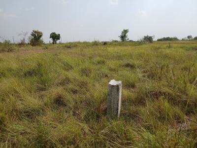 Perfect Offer on Lands, New Ningo Police Junction, Ningo Prampram District, Accra, Residential Land for Sale