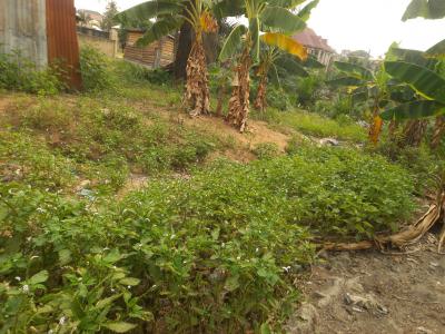 2 & Half Plots, Kenyasi Adwumam, Kumasi Metropolitan, Ashanti, Land for Sale
