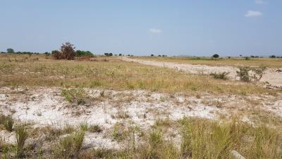 Exclusive Land Deals with Free Documentation*, Tsopoli Police Barrier, Tsopoli, Ningo Prampram District, Accra, Residential Land for Sale