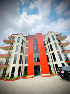 Luxury Two Bedrooms, Adjiringanor Road, Adjiringanor, East Legon, Accra, Apartment for Rent