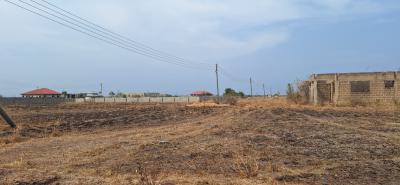 Certified & Titled Estate Lands, Saglemi Road, Ningo Prampram District, Accra, Land for Sale