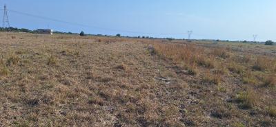 Flexible Payment Plans Available at Tsopoli., Saglemi Road, Tsopoli, Ningo Prampram District, Accra, Mixed-use Land for Sale