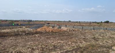 Low Price, High Value Lands @ Tsopoli, Saglemi, Tsopoli, Ningo Prampram District, Accra, Mixed-use Land for Sale