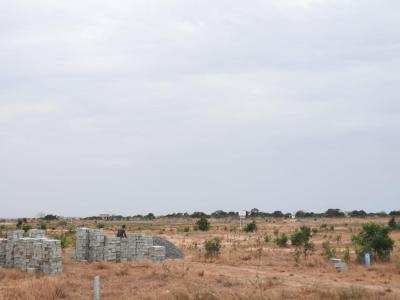 City of David---own Land, Own Peace at Prampram, Prampram Junction, Ningo Prampram District, Accra, Mixed-use Land for Sale