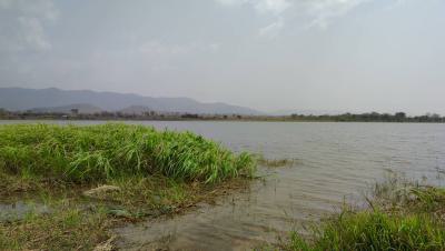 2 Acre Riverfront Land, Afadzato, Afadjato South, Volta Region, Mixed-use Land for Sale