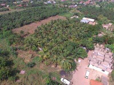 5 Plots of Land Ideal for Commercial Uses Available., Ayi-kuma to Dodowa Road, Dodowa, Shai Osudoku, Accra, Commercial Land for Sale