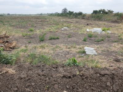 Affordable Luxury Lands, Tsopoli Police Barrier, Tsopoli, Ningo Prampram District, Accra, Residential Land for Sale