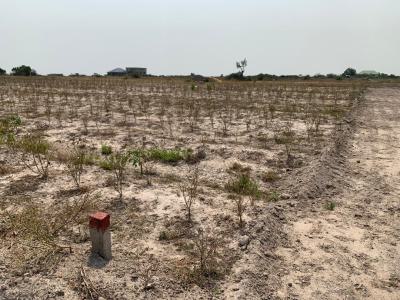 No Waiting, No Stressing ,affordable Estate Land Available, Tsopoli, Ningo Prampram District, Accra, Mixed-use Land for Sale