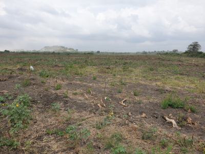 Land, Tsopoli Police Barrier, Tsopoli, Ningo Prampram District, Accra, Land for Sale