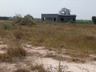 Prime Land, Central University, Dawhenya, Tema, Accra, Mixed-use Land for Sale