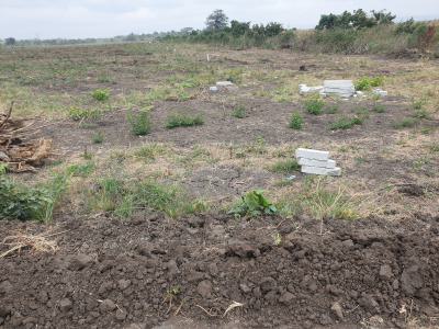 Festive Season Land Ownership, Tsopoli Police Barrier, Tsopoli, Ningo Prampram District, Accra, Mixed-use Land for Sale