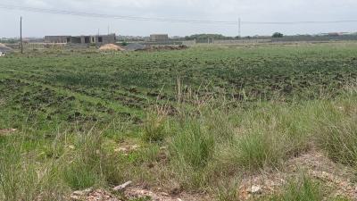 Perfect Locality Lands >>>> Tema Community 25 Adom Estates, Adom Estate Housing, Tema, Accra, Mixed-use Land for Sale