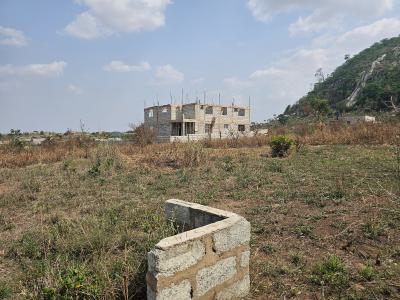 Standard Gated Half Plot !!!! Tema Community 25, Community 25 Mall, Tema, Accra, Mixed-use Land for Sale
